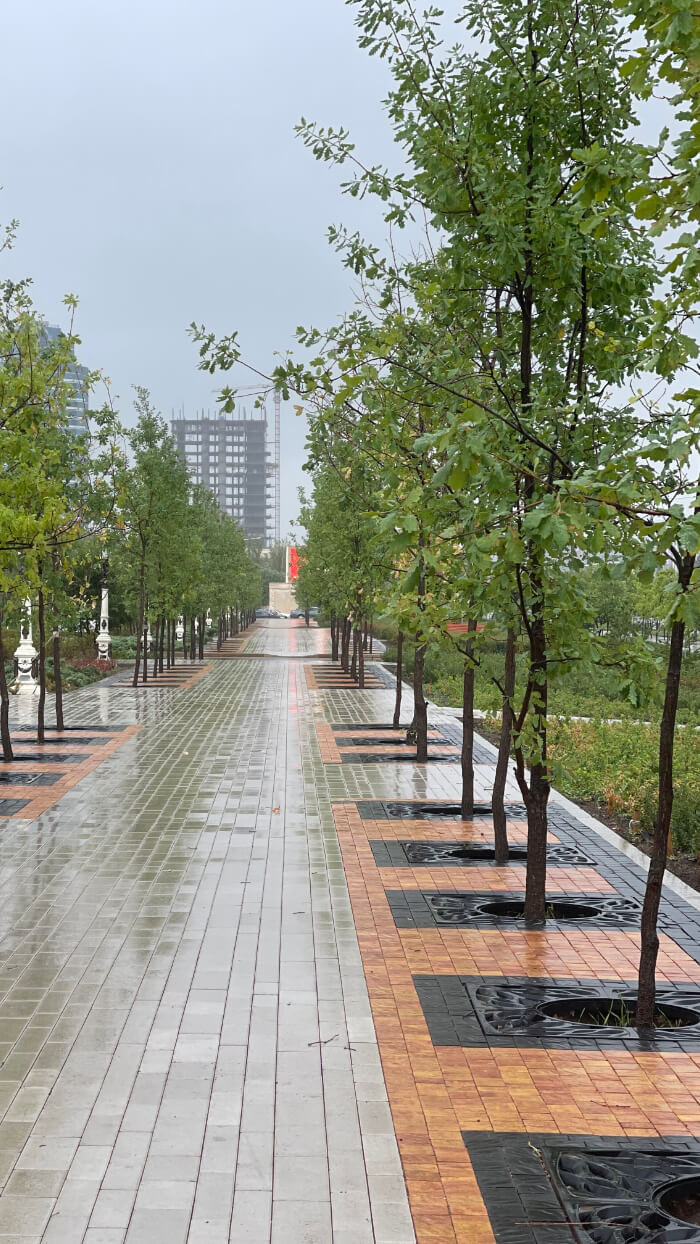 Приствольная решетка для дерева ZKING CRUST 1.2х1.2м Черная в Великих Луках фото