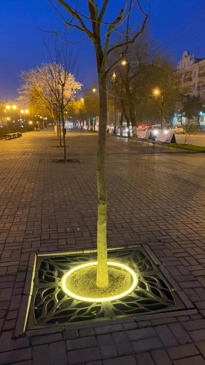 Приствольная решетка для дерева ZKING CRUST 1.2х1.2м Черная в Великих Луках фото